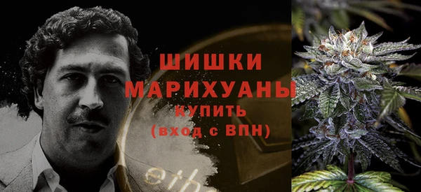 spice Арсеньев