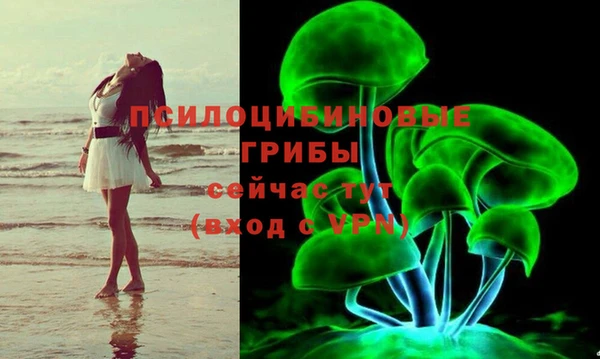 apvp Армянск