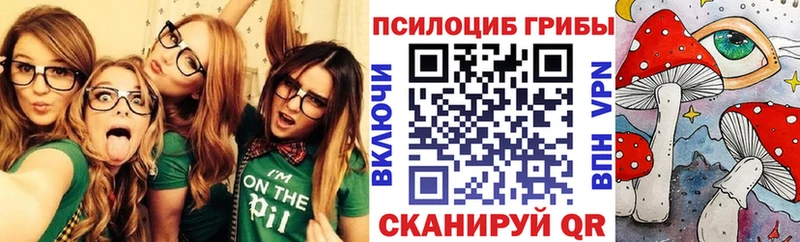 продажа наркотиков  Палласовка  Галлюциногенные грибы мицелий 